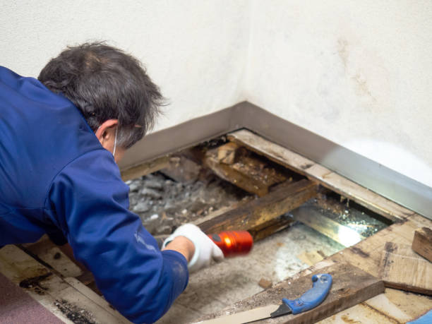 Humboldt, KS Mold Removal Company