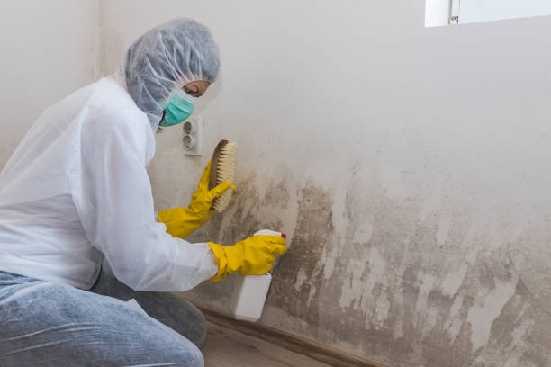 Best Emergency Mold Removal  in Humboldt, KS