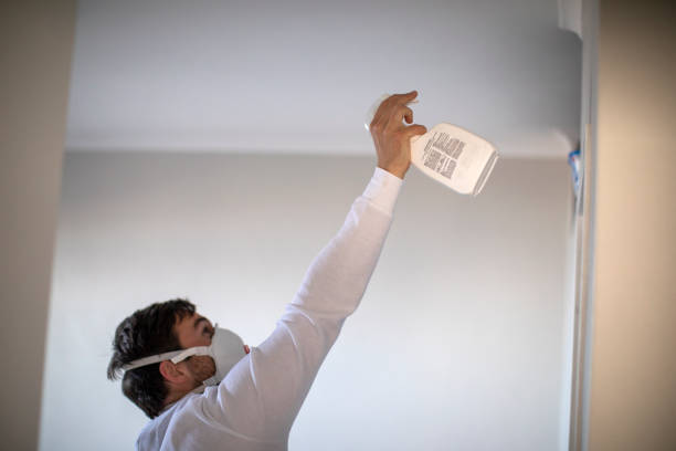 Professional Mold Removal in Humboldt, KS