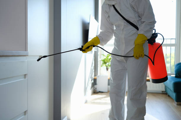 Best Attic Mold Removal  in Humboldt, KS