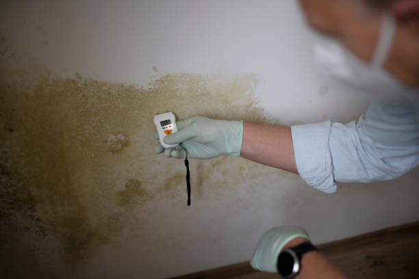 Best Toxic Mold Removal  in Humboldt, KS